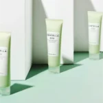 SKIN 1004 - Madagascar Centella Tea-trica BHA Foam