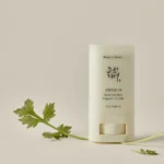 BEAUTY OF JOSEON - Mate Sun Stick Mugwort + Camelia SPF 50+